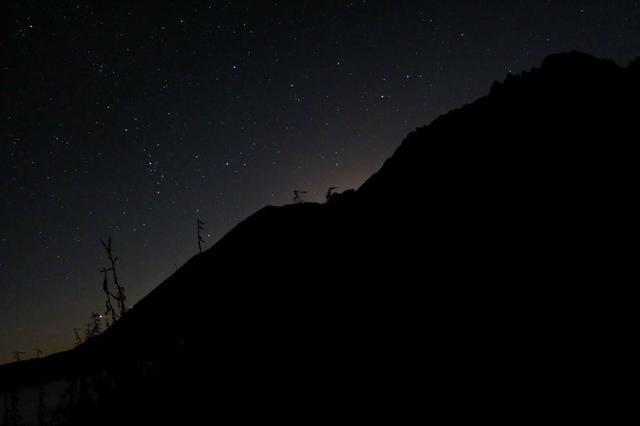 你能逃离此地吗
