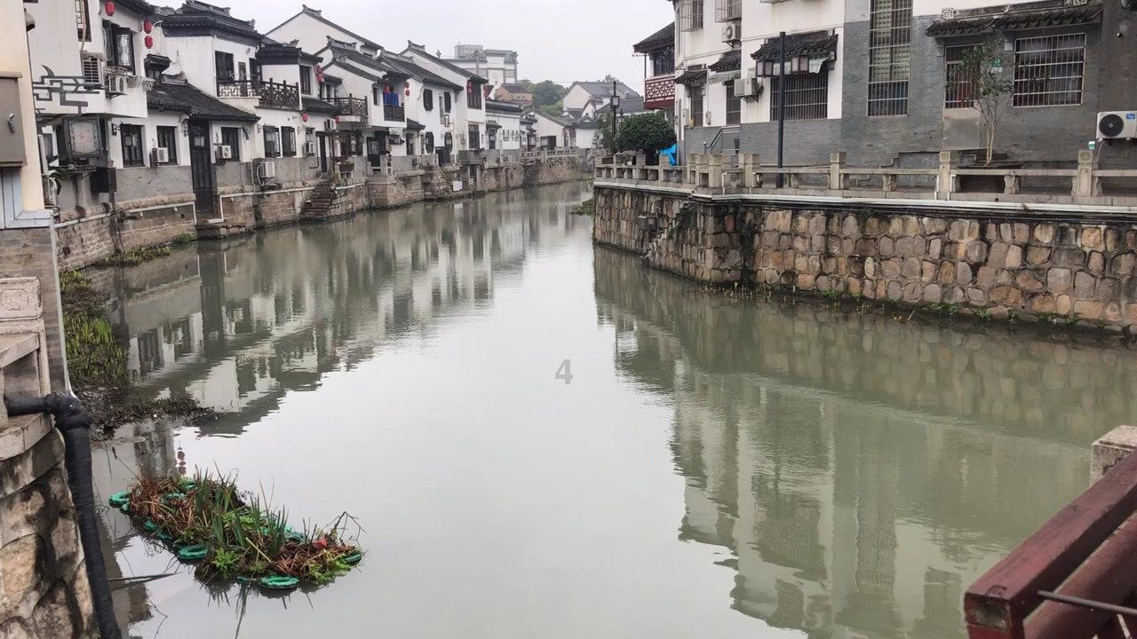救援受困的萌兔